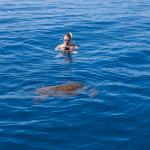 Jami ja kilpikonna - Turtle Town - Maui