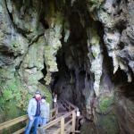 Glow worm cave - Northland - Uusi-Seelanti