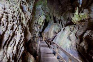 Glow worm cave - Northland - Uusi-Seelanti